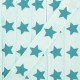 Ruban Froufrou gros grain étoiles aquamarine x 1m