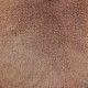 Tissu fourrure Ontario - Rose Terracotta x 10cm