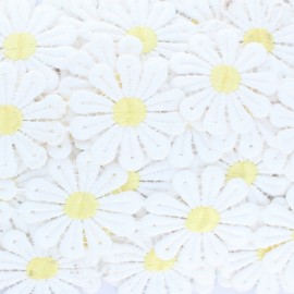 Galon Daisy - Blanc x 50cm