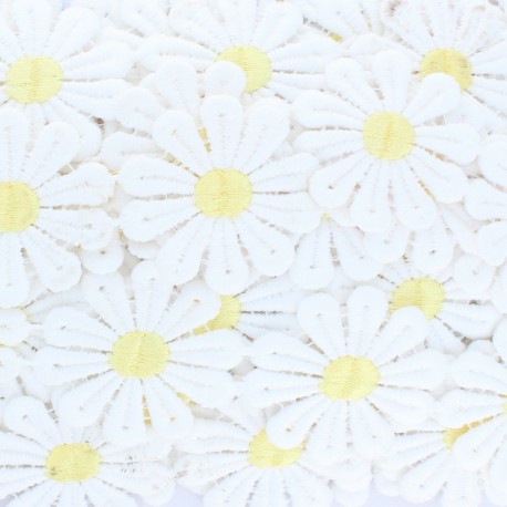 Galon Daisy - Blanc x 50cm