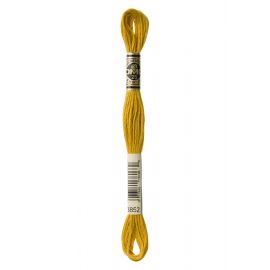 Fil mouliné à broder DMC - 8m - 3852