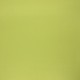 Tissu toile plein air Dralon® Sunny - vert pomme x 10cm