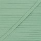 Galon aspect gros grain asperge 10 mm