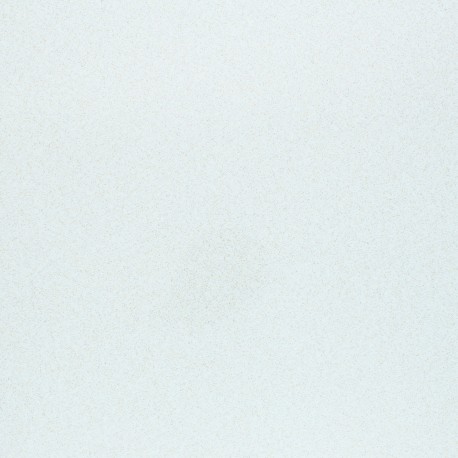 Flex thermocollant Atomic sparkel - blanc x 10cm