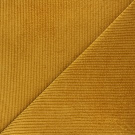 Tissu velours 500 raies élasthanne Dustin