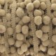Galon pompons