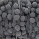 Galon pompons