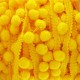Galon pompons