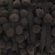 Galon pompons