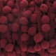 Galon pompons