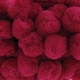 Galon pompons